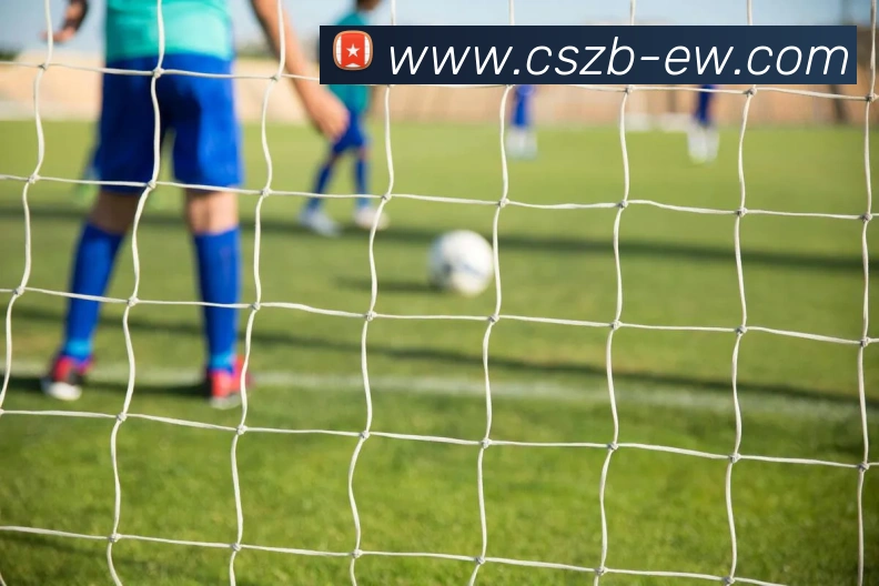 辅助工具 辅助工具